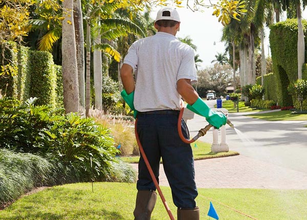 About New London MO Pest Control